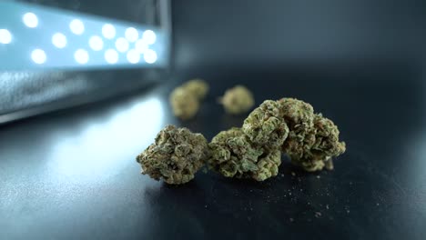 un primer plano detallado del movimiento de la grúa de una planta de cannabis, flor de marihuana, cepas híbridas, indica y sativa, cámara lenta de 120 fps en alta definición, iluminación de estudio cinematográfico, luces led