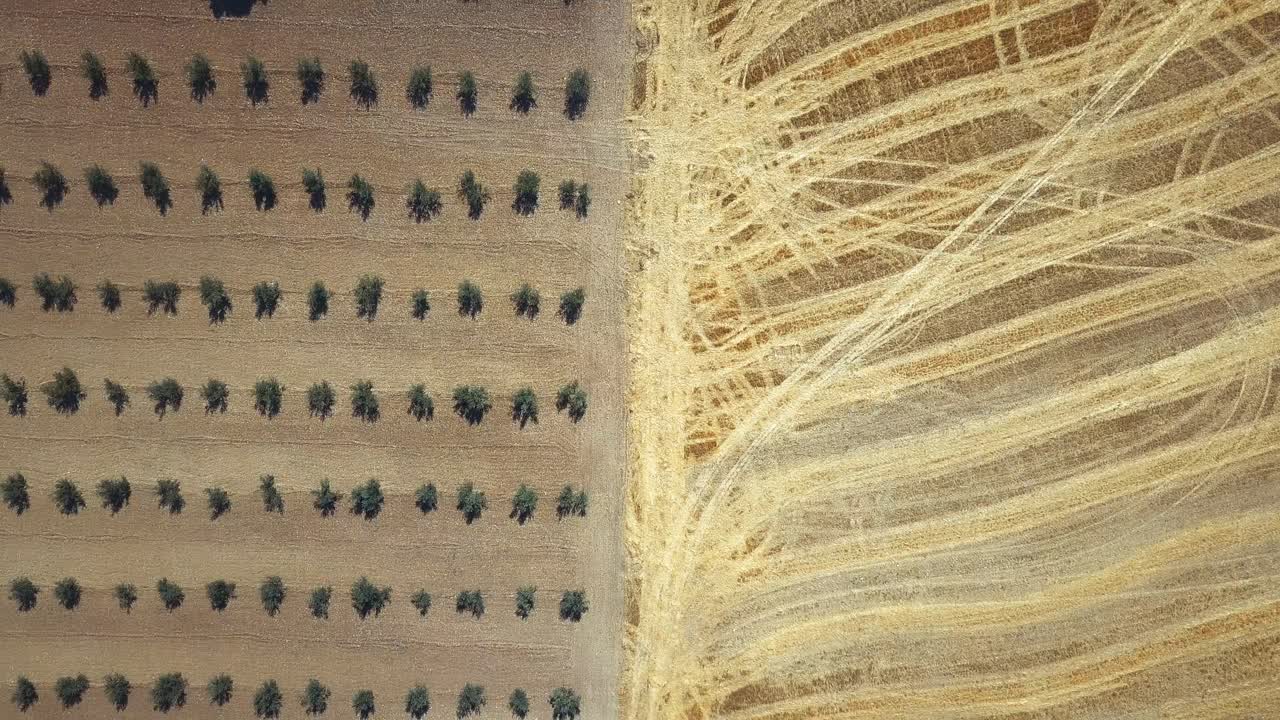 함께 다른 농업 분야의 공중 오버 헤드보기