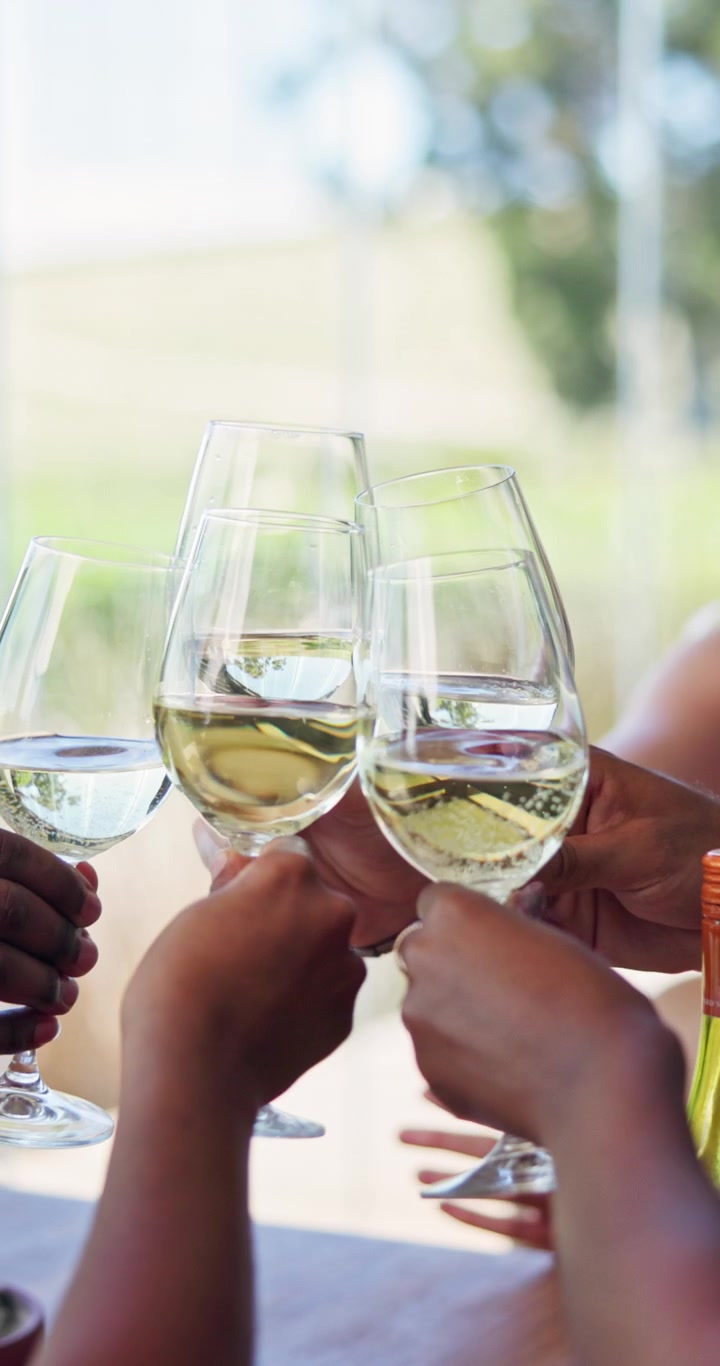 Group of Friends Toasting with White Wine at an Outdoor Vineyard