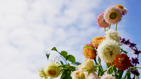 beautiful flowers against blue sky background