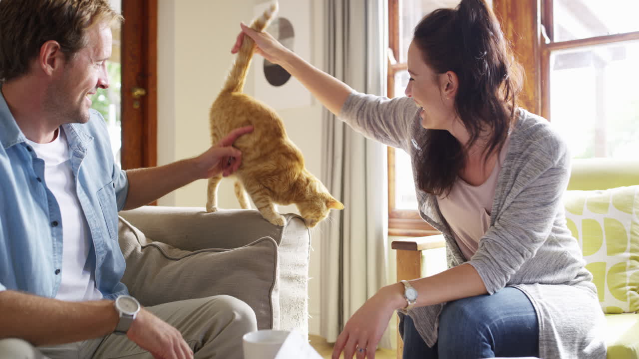 우리의 모든 사랑으로 그를 망쳐놓고