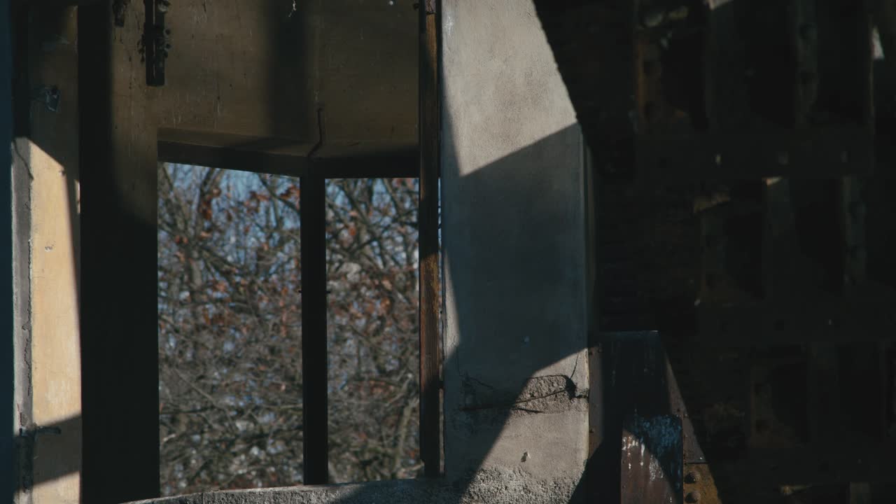 벽에 물 반사가 있는 콘크리트 구조물과 백그라운드에서 가을 나무