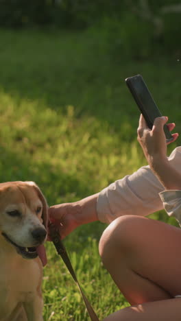 mujer sostiene al perro por la correa mientras toma una selfie del perro al aire libre en un campo cubierto de hierba bajo la cálida luz del sol, el perro mira hacia otro lado, centrado en otra cosa, mientras el dueño sonríe