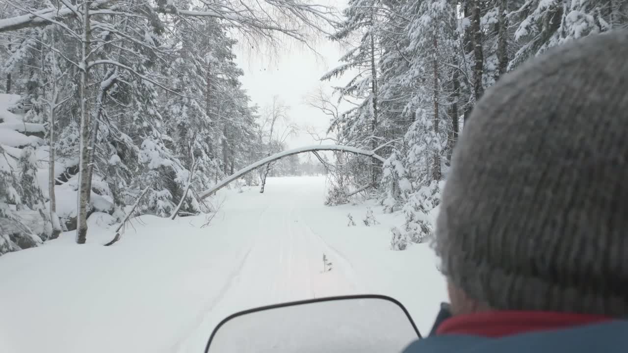 pov de una persona montando una moto de nieve en el bosque de invierno