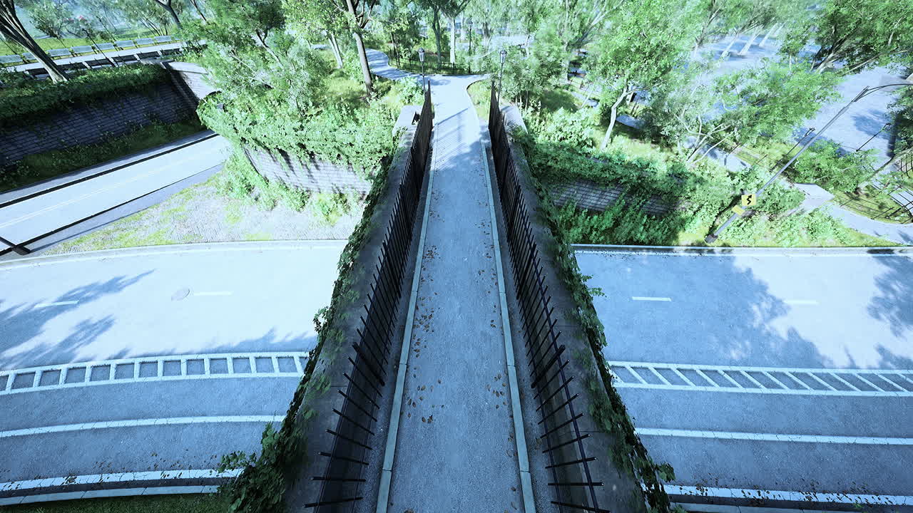 여름 날 의 센트럴 시티 파크