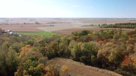 aerial drone view of timber and ready to be harvested fields in autumn in the midwest, usa