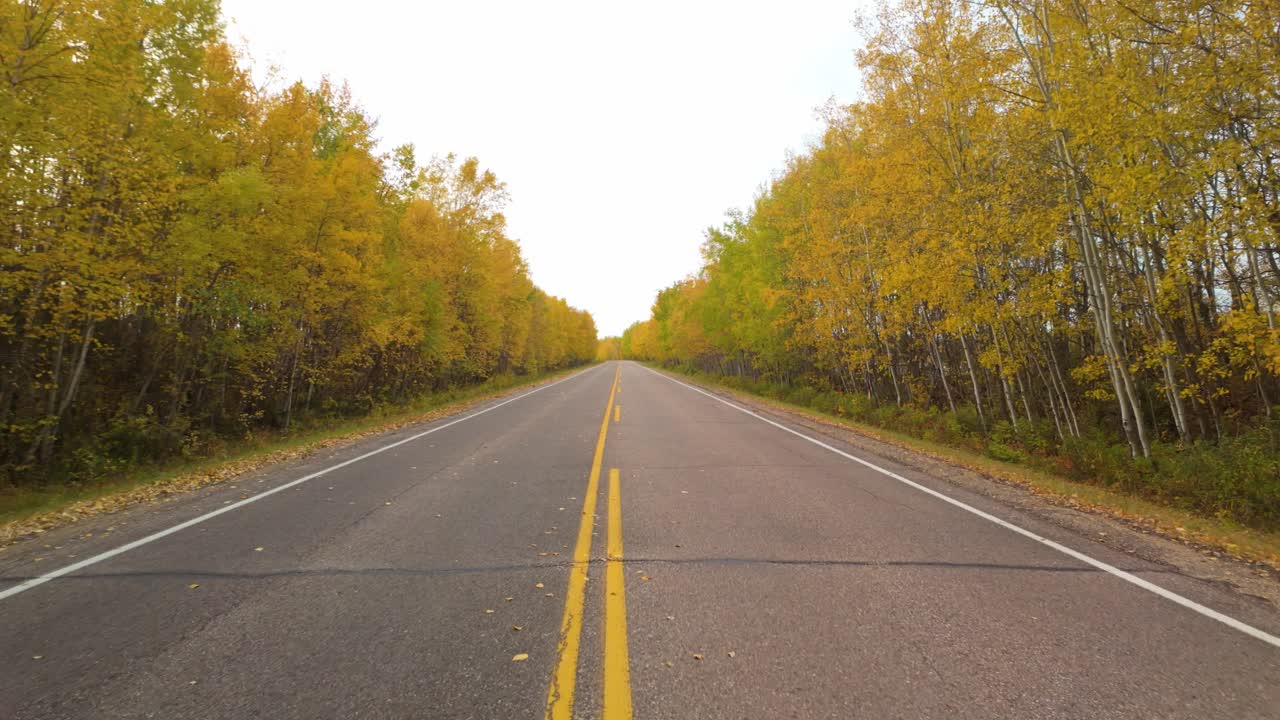 Camminando nel mezzo della strada a Elk Island in autunno