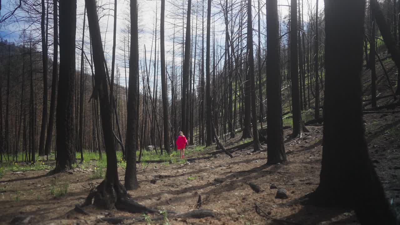 밝은 분홍색 로브를 입고 숲에서 혼자 고 있는 여인