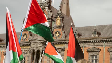 Pro Palestine protesters march against Israel’s Eurovision participation in Malmö (Sweden), calling for a ceasefire on the war in Gaza, Eurovision song contest 2024, Palestine flags, medium shot