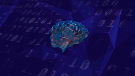 animación del procesamiento de datos sobre el cerebro