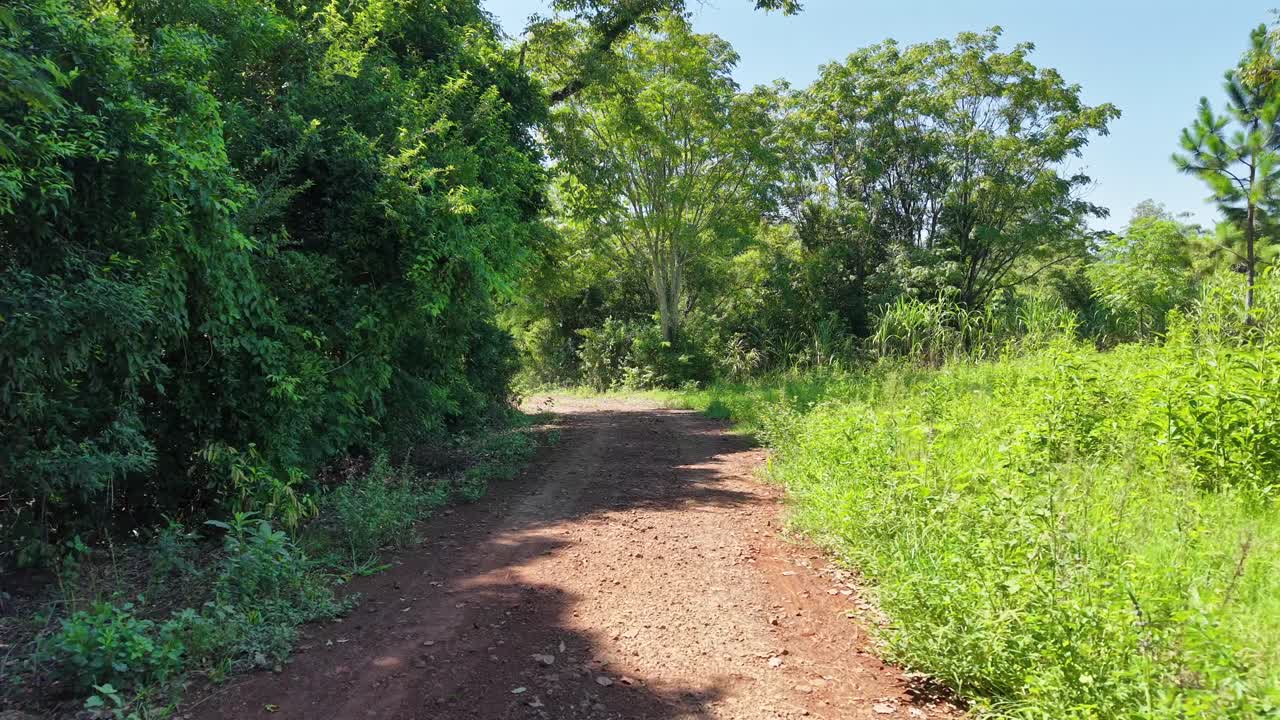 저고도 드론이 한적한 주거 지역의 무성한 시골 초목을 가로지르는 비포장 도로를 달리는 픽업 트럭을 따라가요