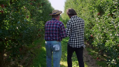 Tilt-up-view-of-conversation-between-business-partners-in-orchard