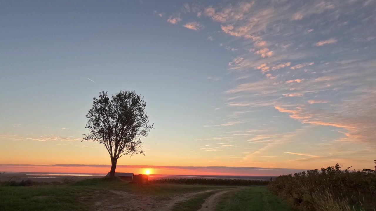 En solopgang oplyser horisonten og kaster et varmt skær over et landligt landskab. Et ensomt træ står ved siden af en snoet grusvej, med skyformationer, der fremhæver den bløde, gyldne himmel. Time-lapse.