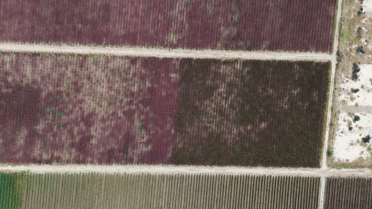 tomada aérea de drones de las granjas de viñedos en cafayate salta de argentina en américa del sur