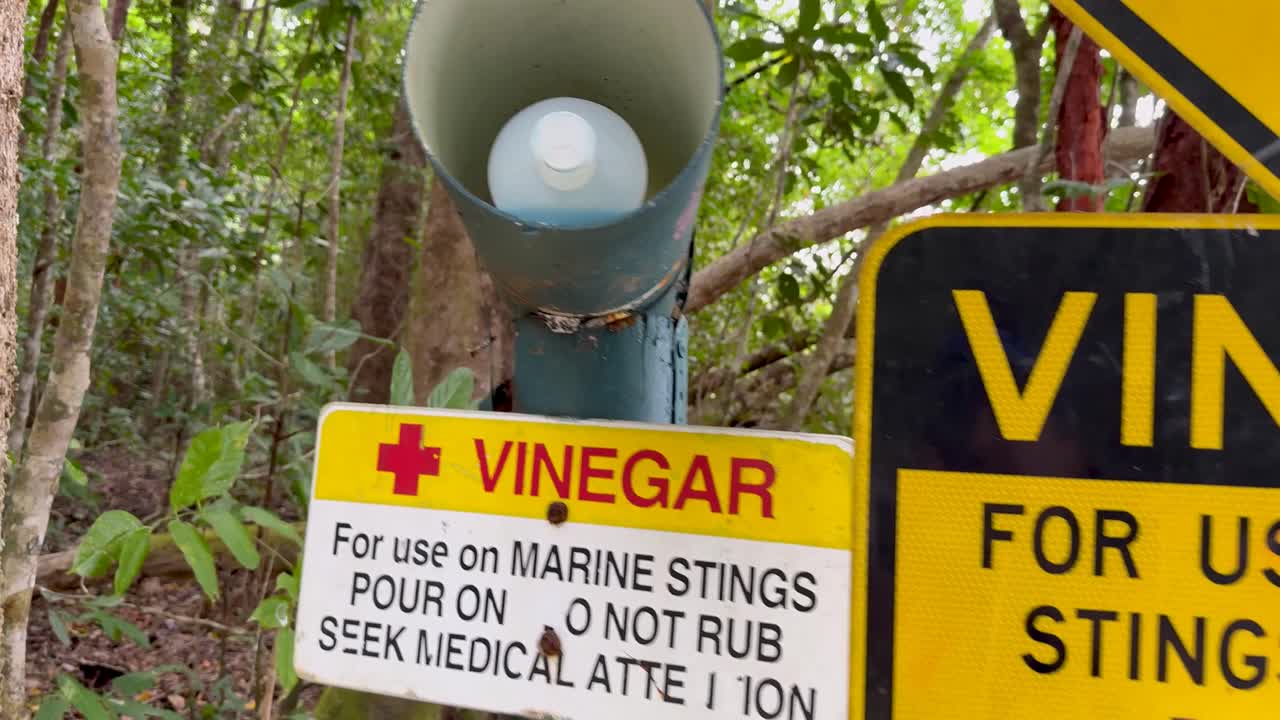A person refills a vinegar station for jellyfish sting treatment in a tropical rainforest setting
