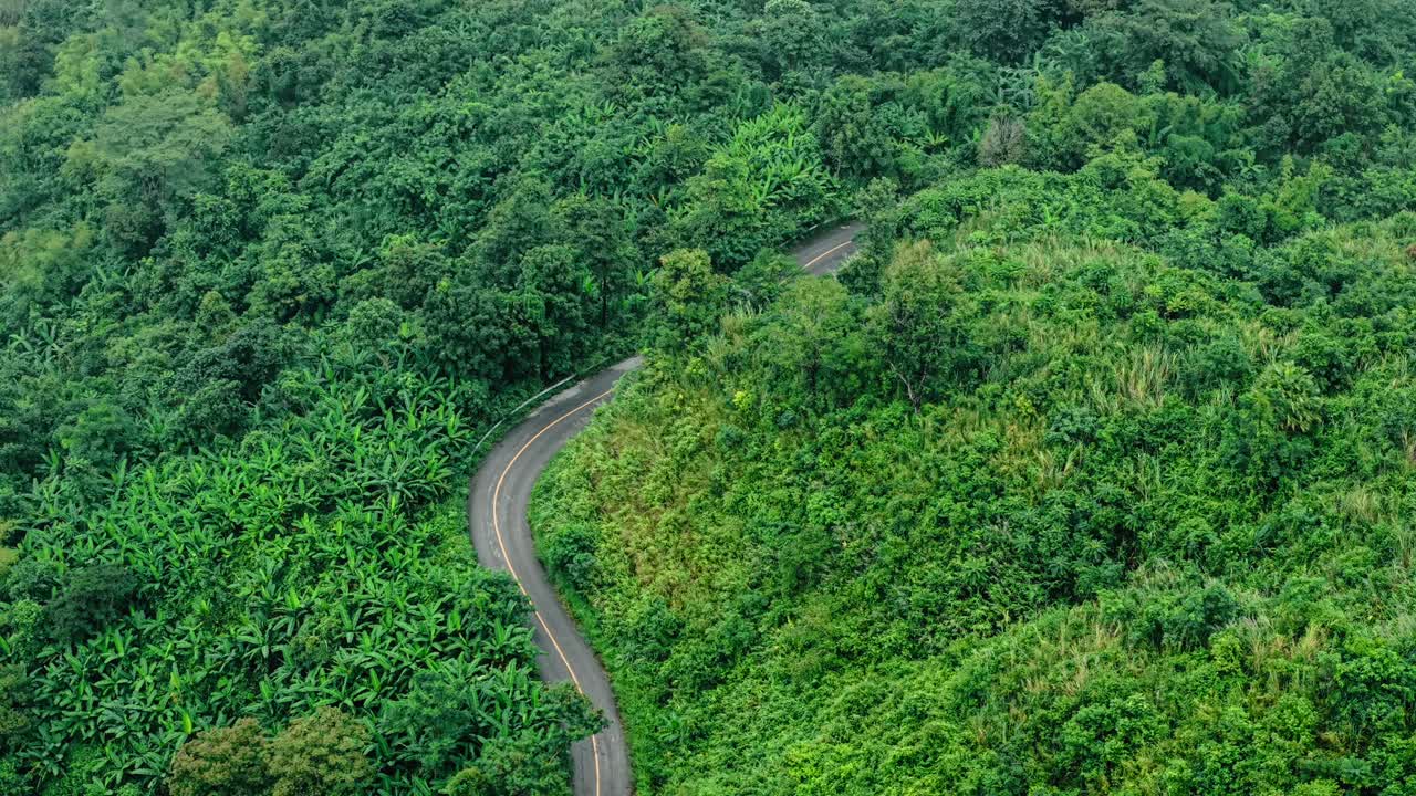 Winding Road Through Lush Green Mountain Forest