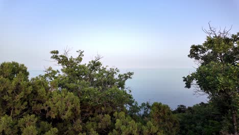 A-breathtaking-view-of-the-Crimean-coastline-from-the-trees-at-sunset