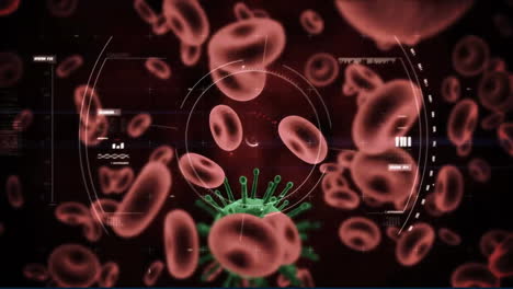 animación de la célula del virus covid y procesamiento de datos sobre los glóbulos rojos