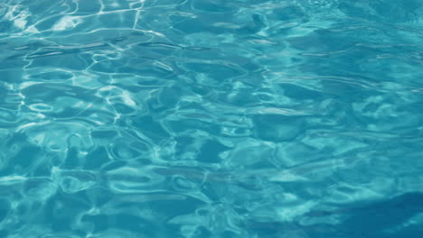 the surface of the water in the pool.