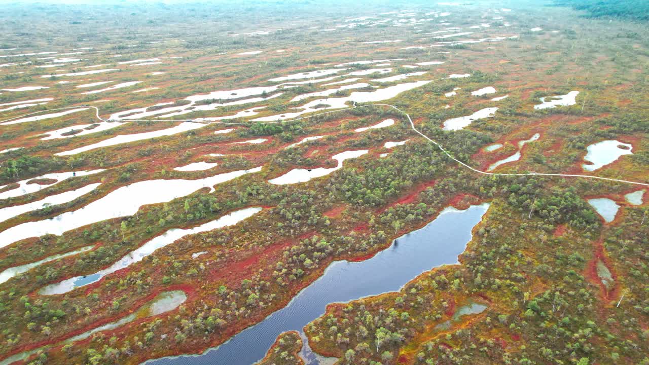 Exploring the unique landscape of Kemeri swamp in Latvia from above