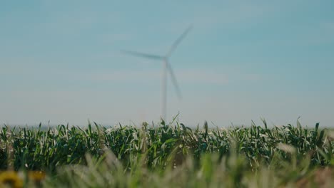 Wind-turbine-spinning-on-a-sunny-day-in-a-grassy-field