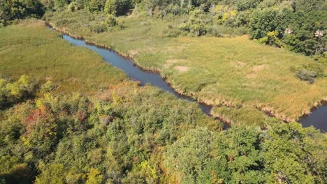 dolly track of a small river on a plot of hidden marsh land in muskegon heights