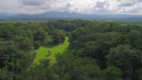 Great-aerial-shot-over-the-Tikal-pyramids-in-Guatemala