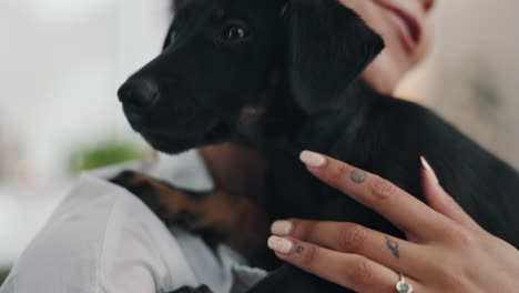 una mujer abrazando a un cachorro.