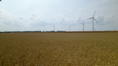 low aerial of wind turbines across a yellow wheat field zwartowo pomerania, poland