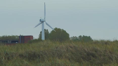 Wind-turbine-on-the-beach,-not-spinning,-dry-grass-covered-dunes-in-foreground,-renewable-energy-production-for-green-ecological-world,-overcast-autumn-day,-distant-medium-shot