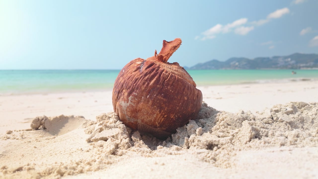 Vecchio guscio di noce di cocco sdraiato sulla sabbia sulla spiaggia di Chaweng a Koh Samui, Thailandia. Primo piano.