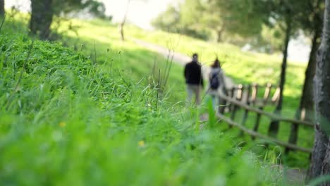 couple walking together in beautiful quiet park in nature, medina, spain
