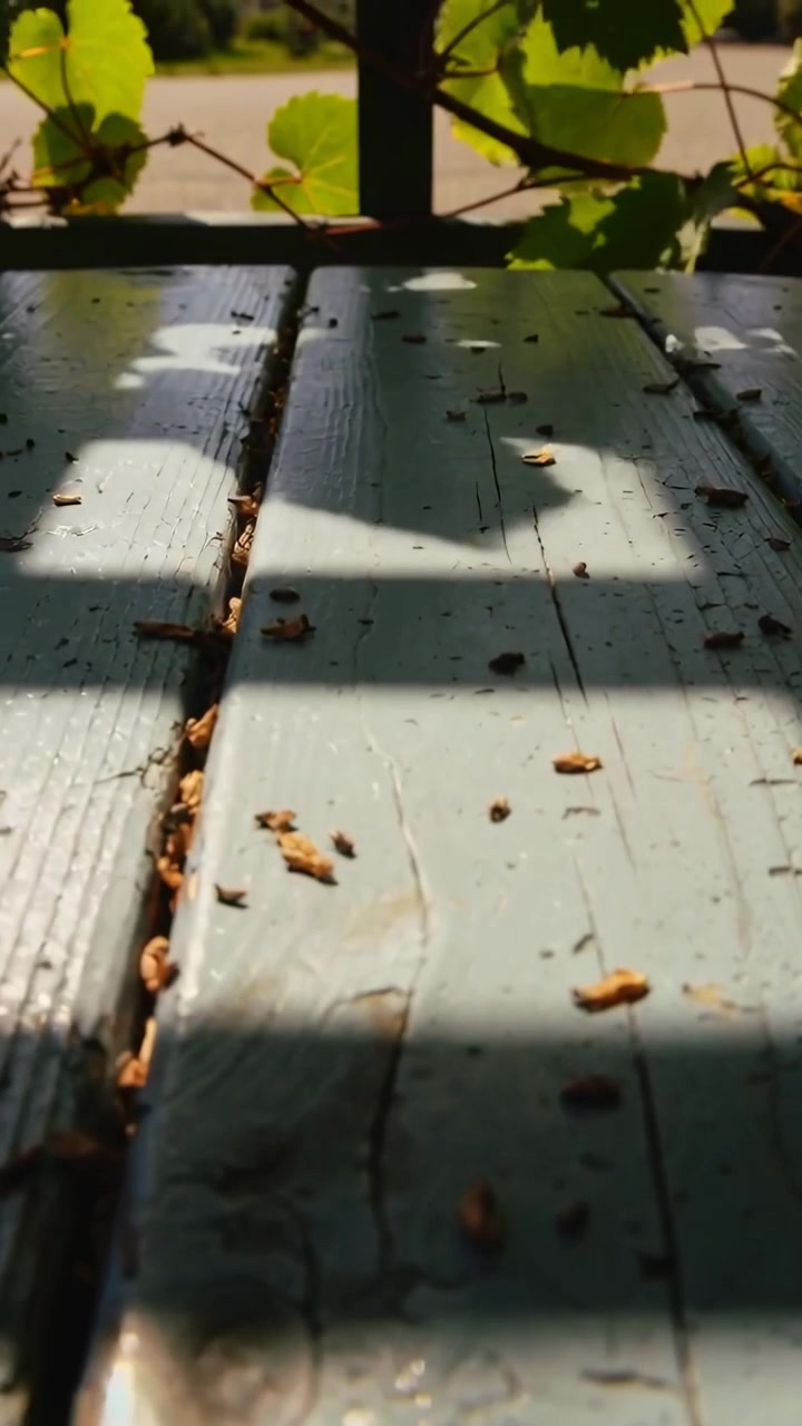 Video verticale: La telecamera si allontana rivelando una tavola verde acqua scrostata su un portico con bucce di semi e una ringhiera.