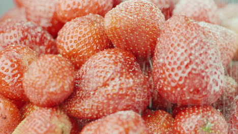 Die-Roten-Saftigen-Erdbeeren-Mit-Zucker-Bestreuen
