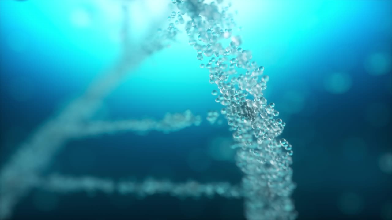 생물학적 구조의 추상적인 표현