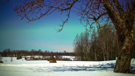 Tiro-De-Lapso-De-Tiempo-De-Las-Sombras-De-Los-árboles-Que-Se-Mueven-Sobre-La-Nieve-Brillante-Durante-Todo-El-Día