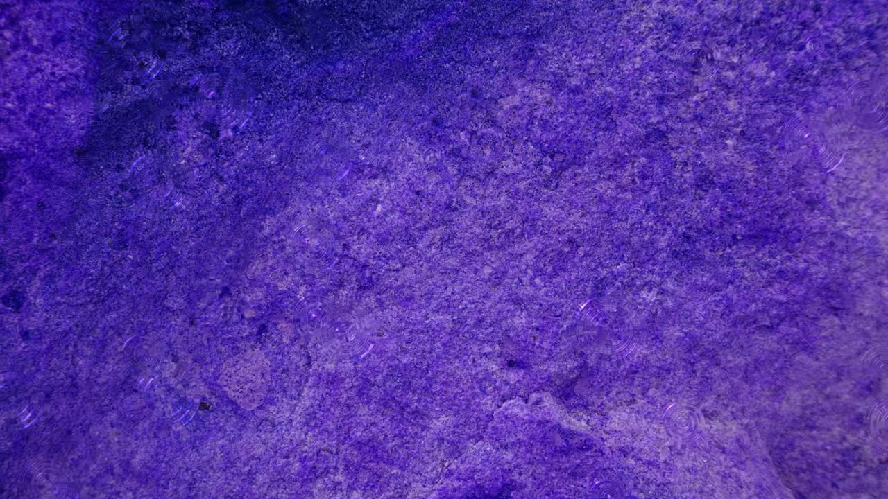 4K rain drop on heavy hard purple granite stone tile surface of cave for interior wallpaper