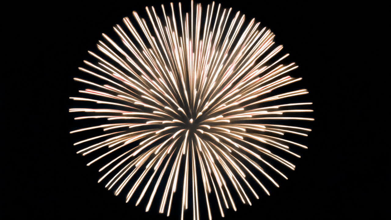 Vibrant fireworks burst animated overlay, transparent 4K video, alpha channel, ProRes 4444