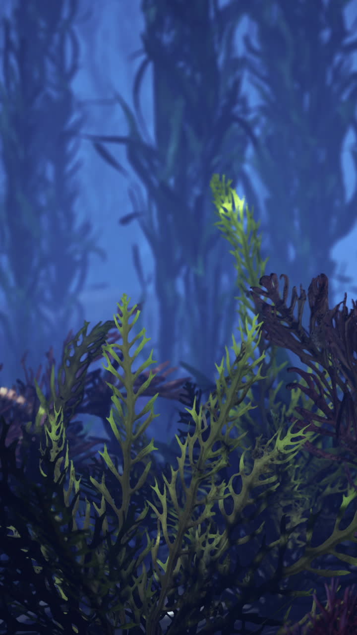 물 에 있는 해조류의 근접 촬영