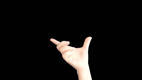 손짓들