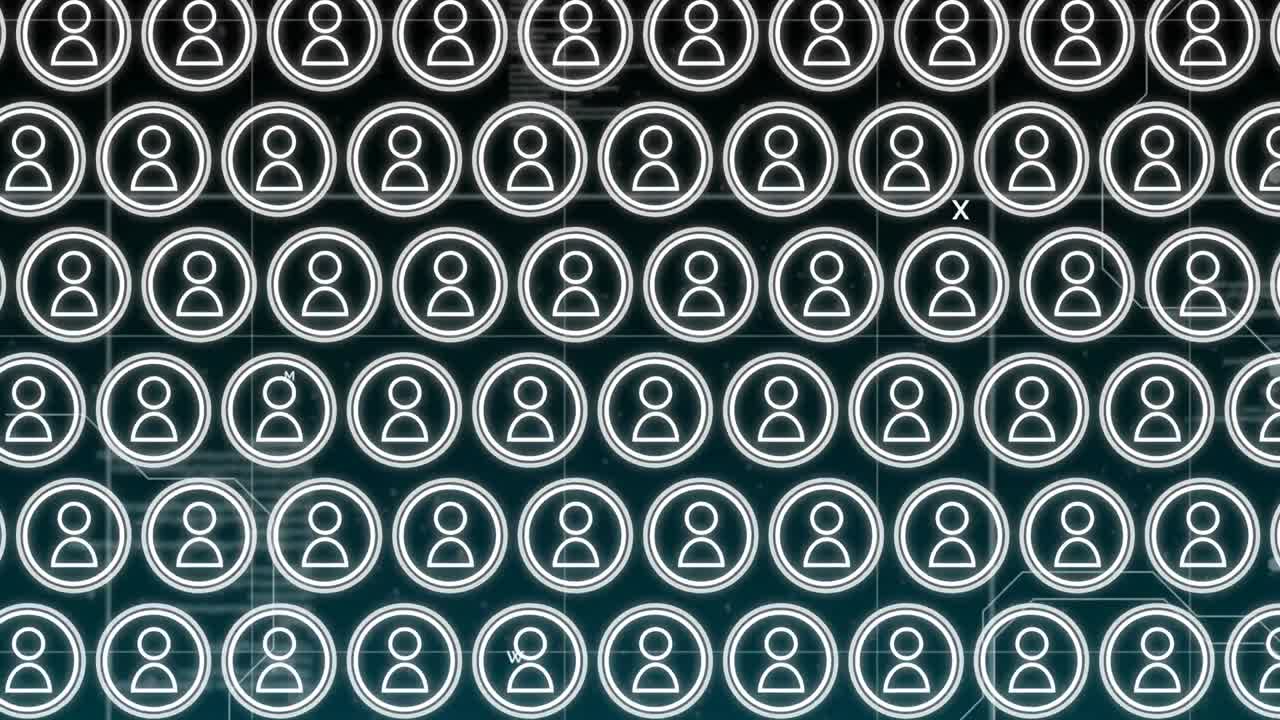 conexión con las redes sociales