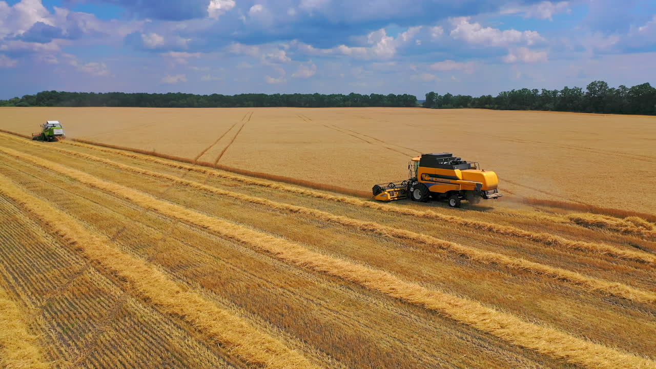 Harvesting of wheat in summer. Aerial view of beautiful countryside landscape with large field