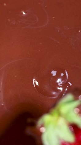 la fresa se sumerge y se levanta del chocolate