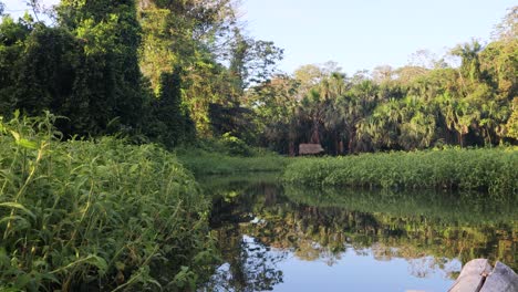 Floating-on-a-quite-lake-in-the-Amazon-Rain-forest,-Birdwatching,-peru,-Amazonas