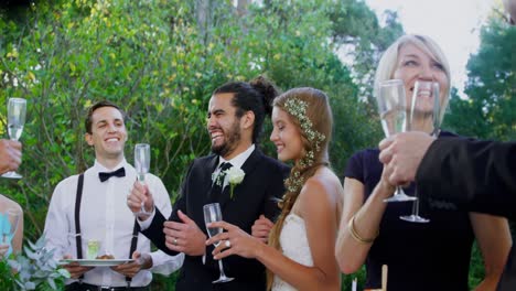 guests, bride and groom toasting champagne flutes 4k 4k