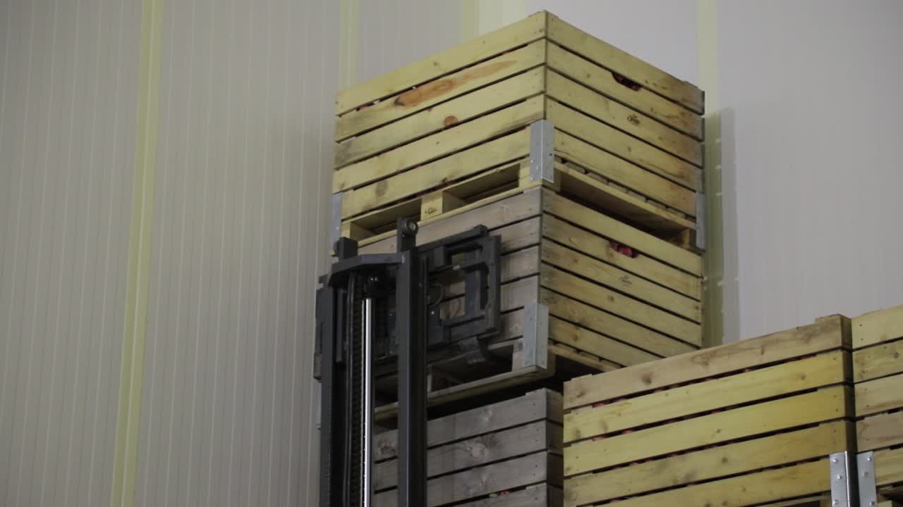 The employee on the electric forklift carry the container wiht ripe apples to inside a fridge airless storage camera. Production facilities of grading, packing and storage of crops of large warehouse.