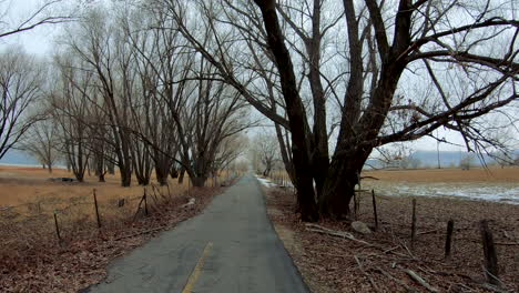 hiperlapso de una bicicleta pavimentada y un sendero para correr a través de los árboles en invierno