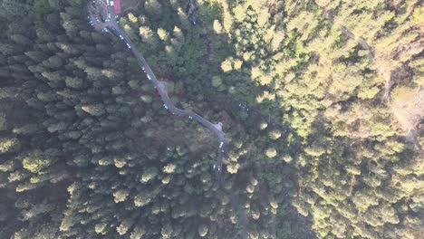 foque abajo en camino pequeño y río pequeño