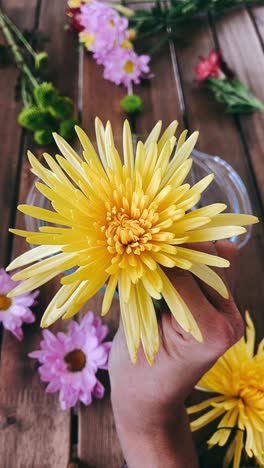 hand holding a yellow chrysanthemum flower