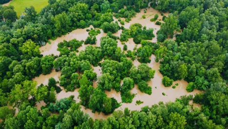 horripilantes imágenes aéreas de drones 4k de la región de podravje de eslovenia en agosto
